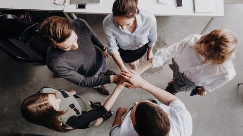 Group of employees engaged in a trust building exercise