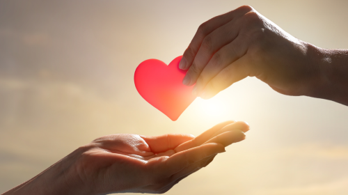 HR For Charities